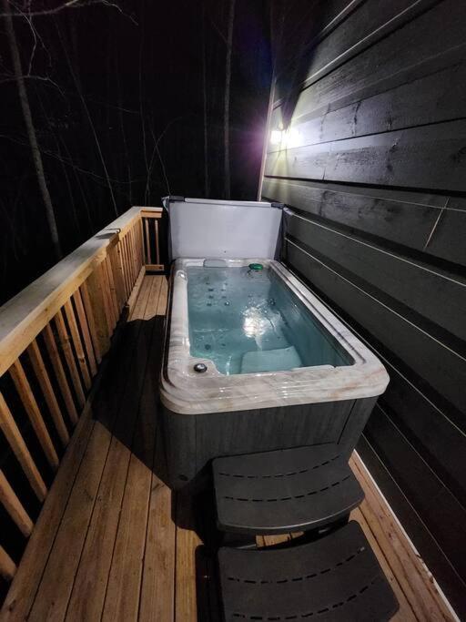 Teddy Bear Holiday home Sevierville